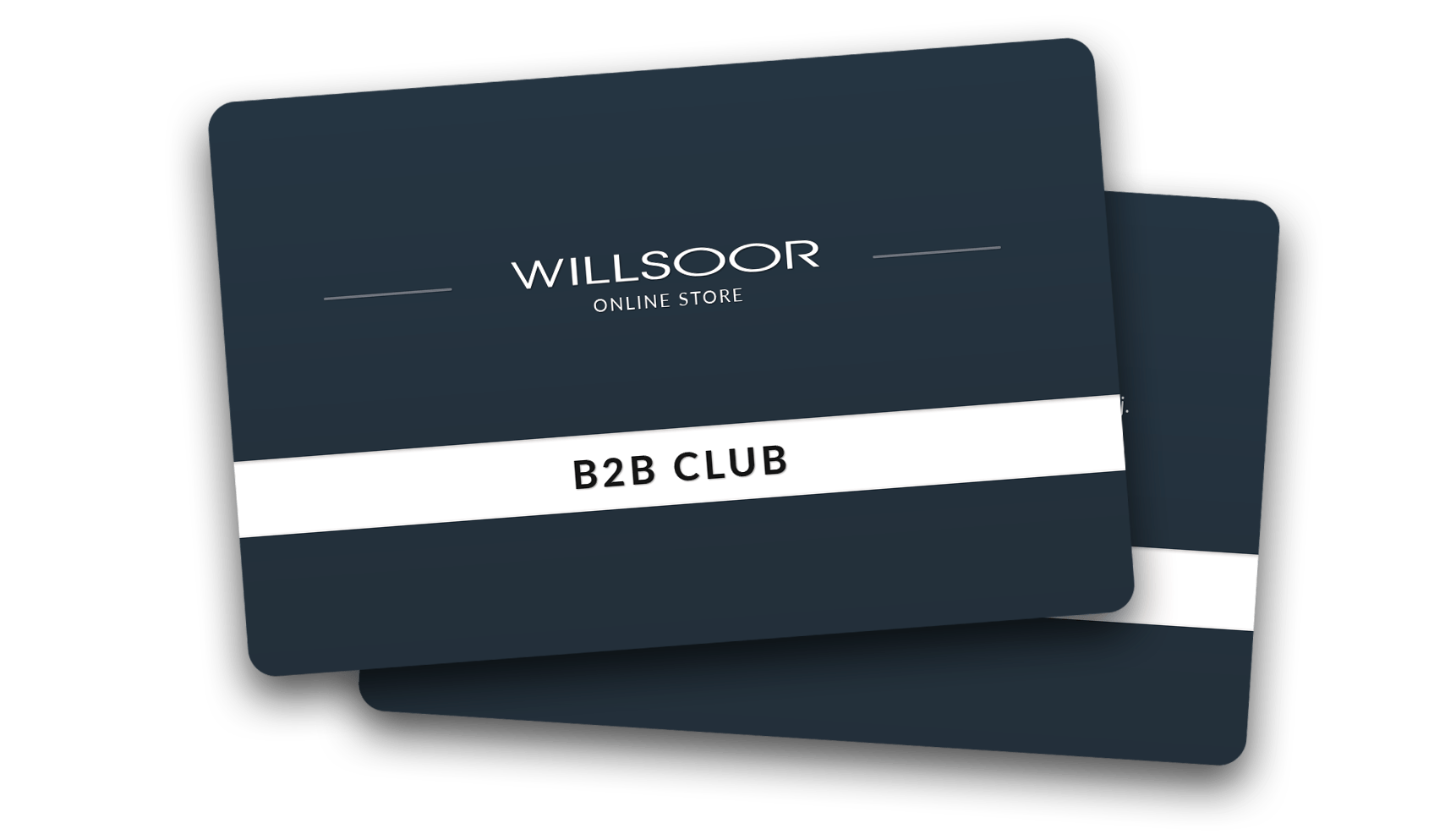 Willsoor B2B Club